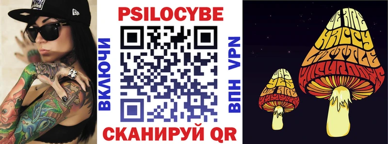 Псилоцибиновые грибы ЛСД  даркнет сайт  Багратионовск 